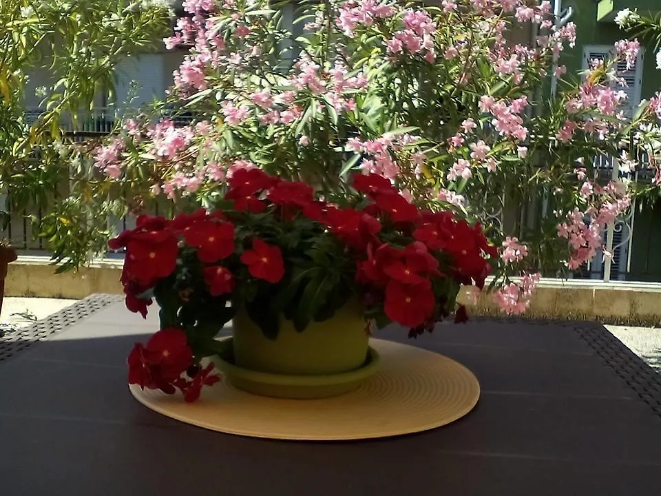 Il Terrazzo Di Oleandri Apartment Bagheria